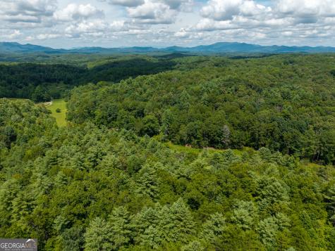 0 White Pine Road Mccaysville GA 30555