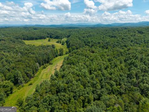 0 White Pine Road Mccaysville GA 30555