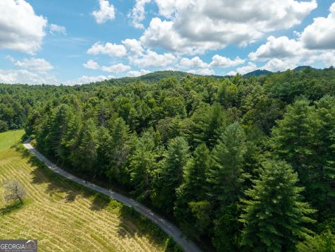 0 White Pine Road Mccaysville GA 30555