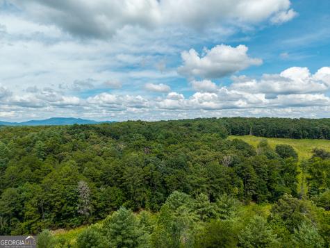 0 White Pine Road Mccaysville GA 30555