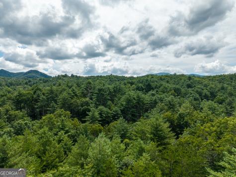 0 White Pine Road Mccaysville GA 30555