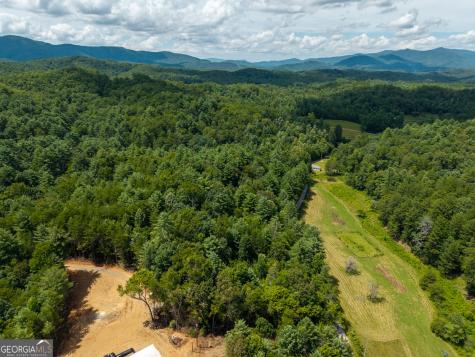 0 White Pine Road Mccaysville GA 30555
