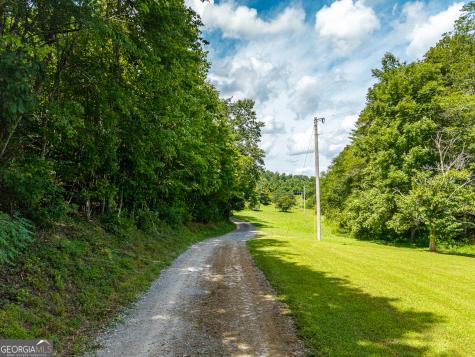 0 White Pine Road Mccaysville GA 30555