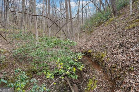 41A&42 Madeline Anthony Road Dahlonega GA 30533
