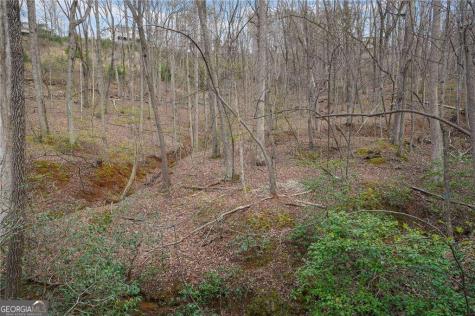 41A&42 Madeline Anthony Road Dahlonega GA 30533