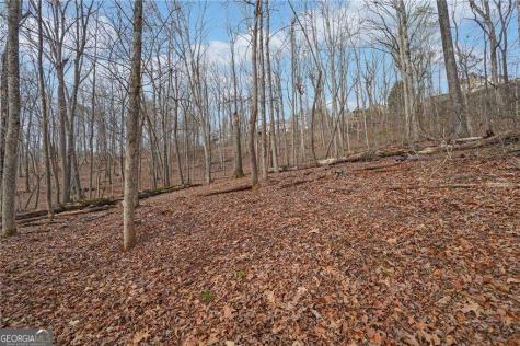 41A&42 Madeline Anthony Road Dahlonega GA 30533