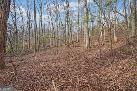 41A&42 Madeline Anthony Road Dahlonega GA 30533