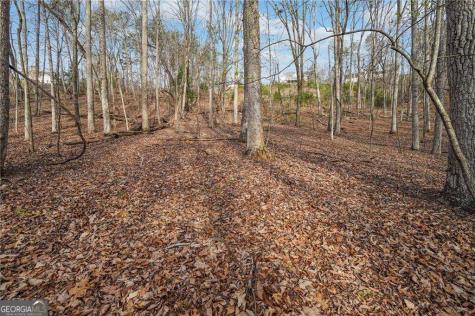 41A&42 Madeline Anthony Road Dahlonega GA 30533