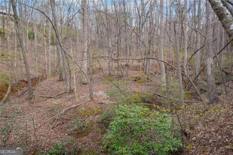 41A&42 Madeline Anthony Road Dahlonega GA 30533