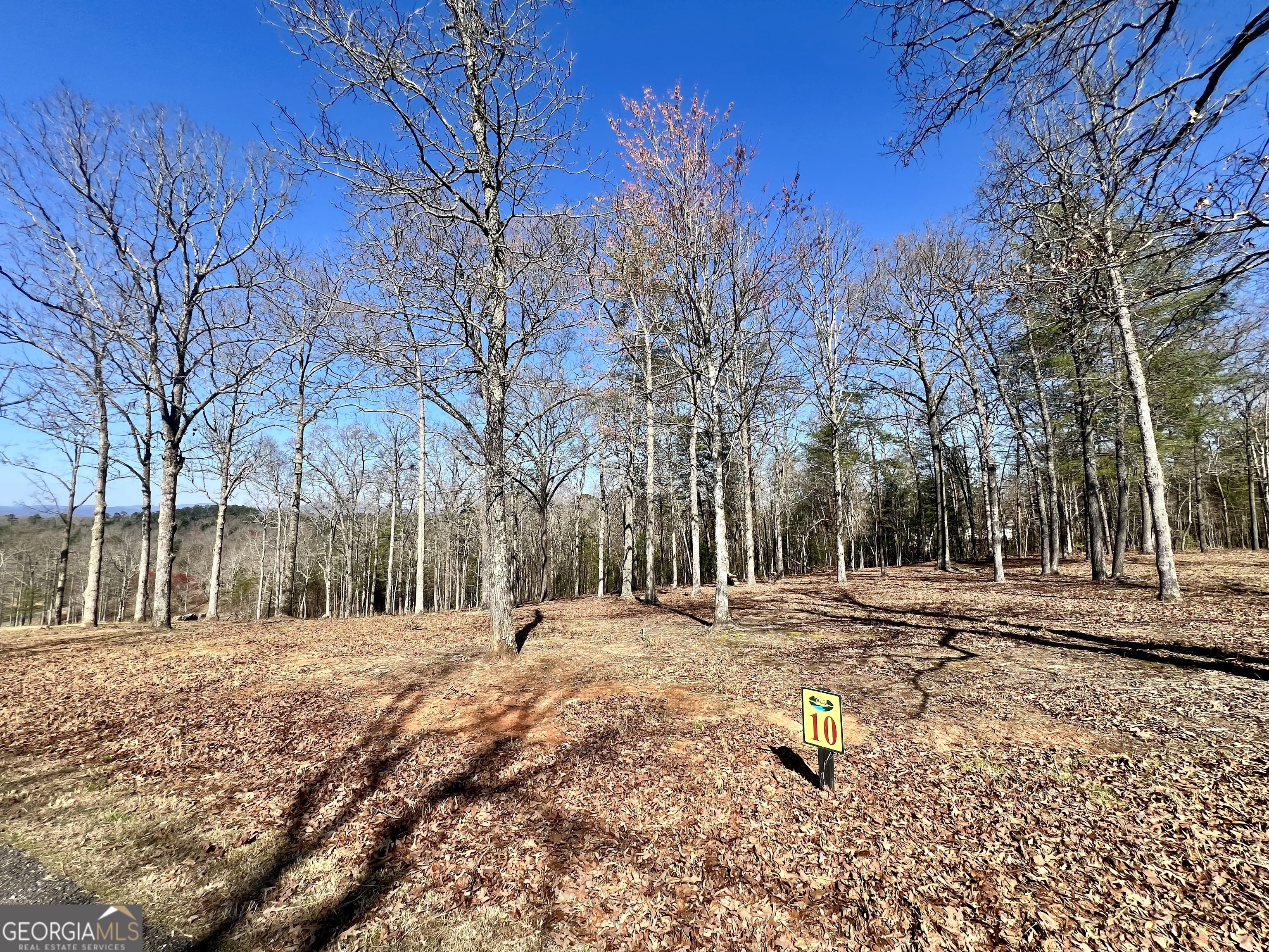10 Arbor Creek Trail Mineral Bluff GA 30559