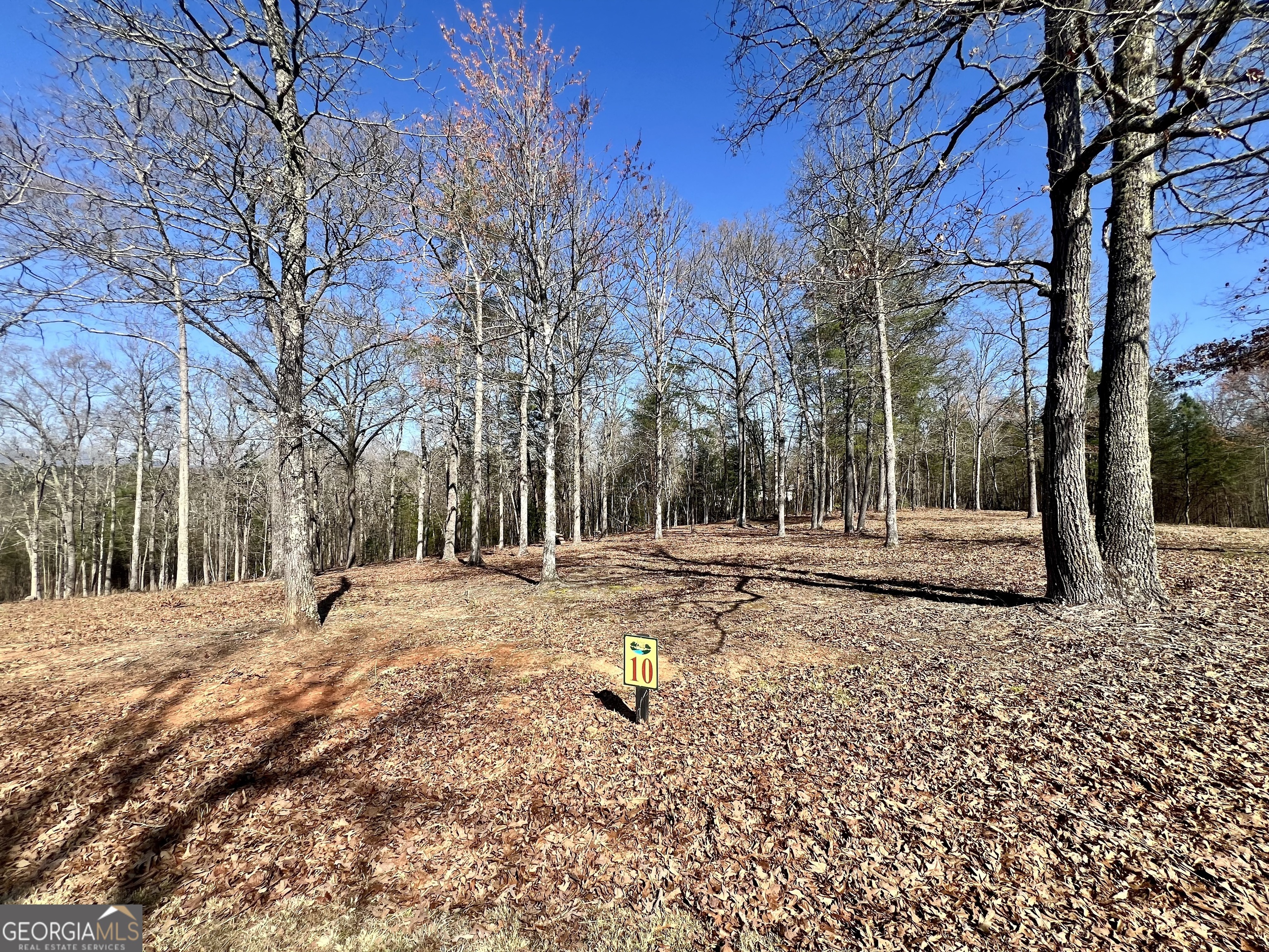 10 Arbor Creek Trail Mineral Bluff GA 30559