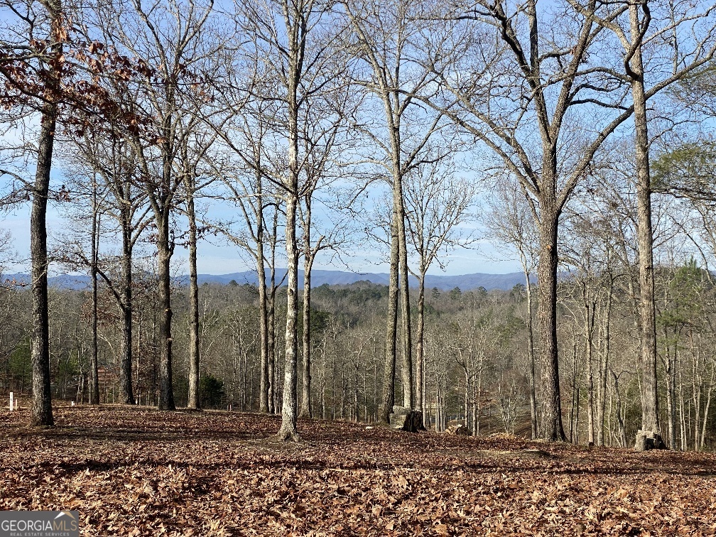 10 Arbor Creek Trail Mineral Bluff GA 30559