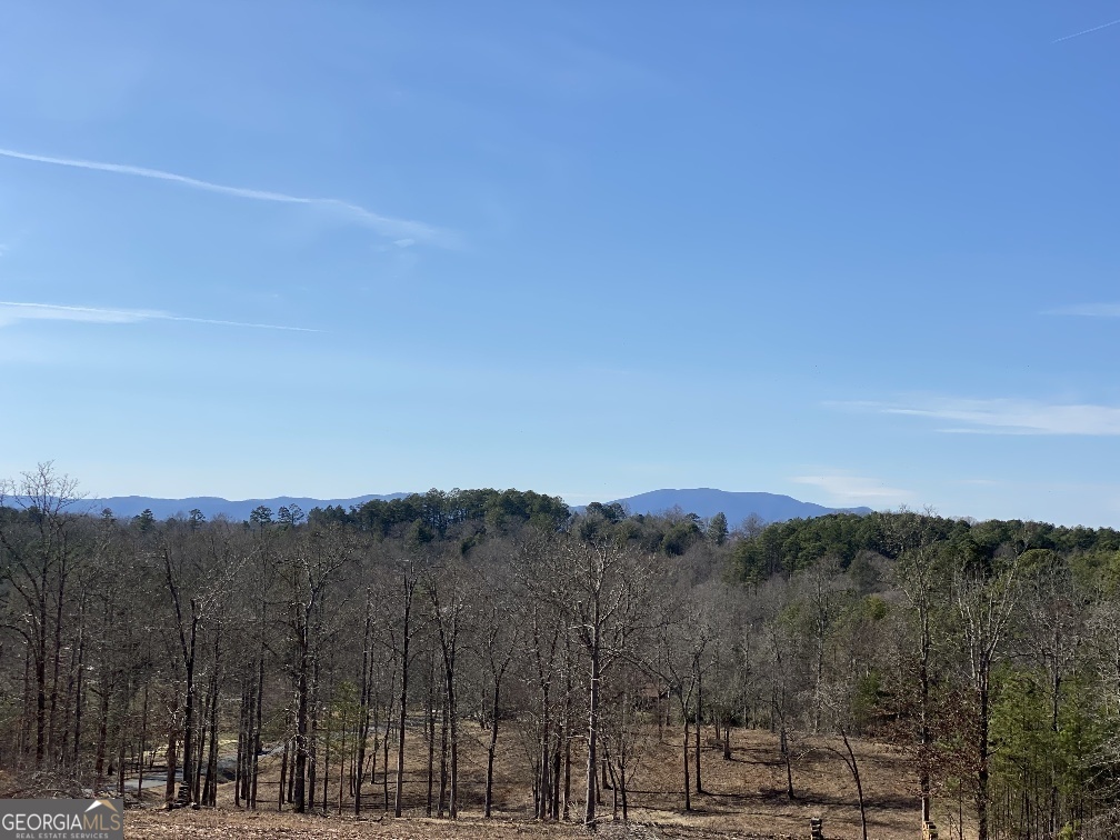 10 Arbor Creek Trail Mineral Bluff GA 30559
