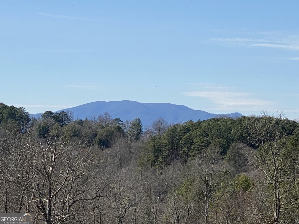 10 Arbor Creek Trail Mineral Bluff GA 30559