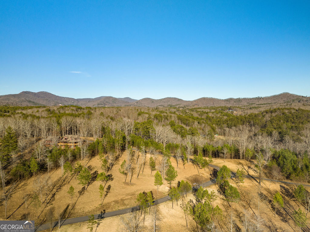 10 Arbor Creek Trail Mineral Bluff GA 30559