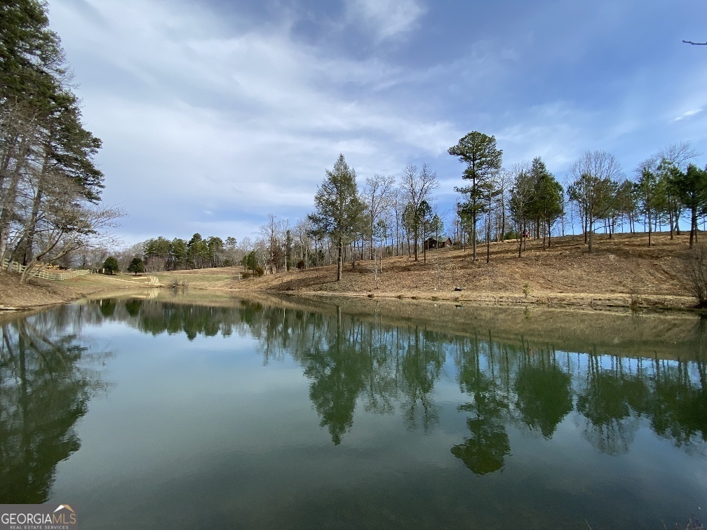 10 Arbor Creek Trail Mineral Bluff GA 30559
