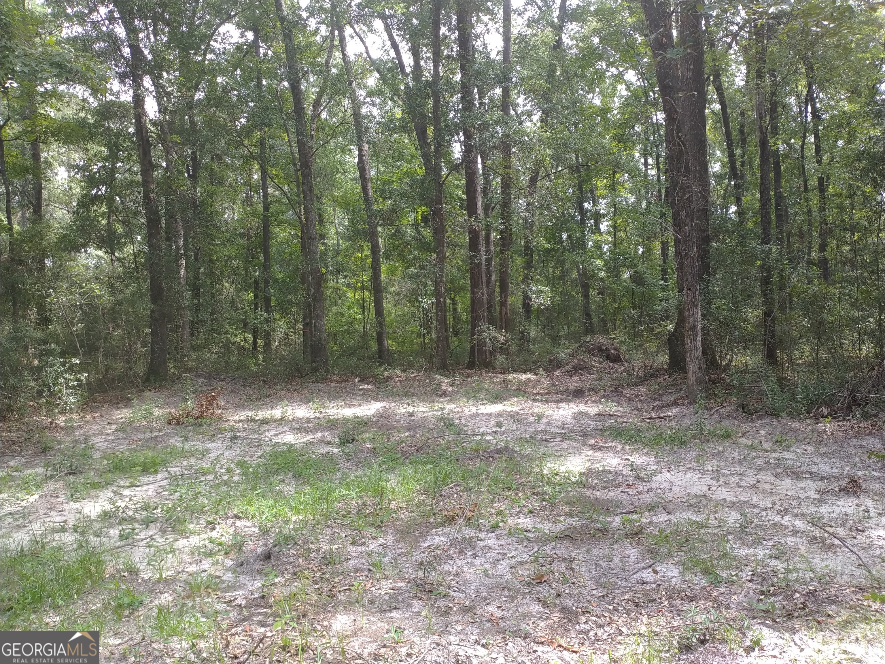 1046 Harmony Hill Lane NE Townsend GA 31331