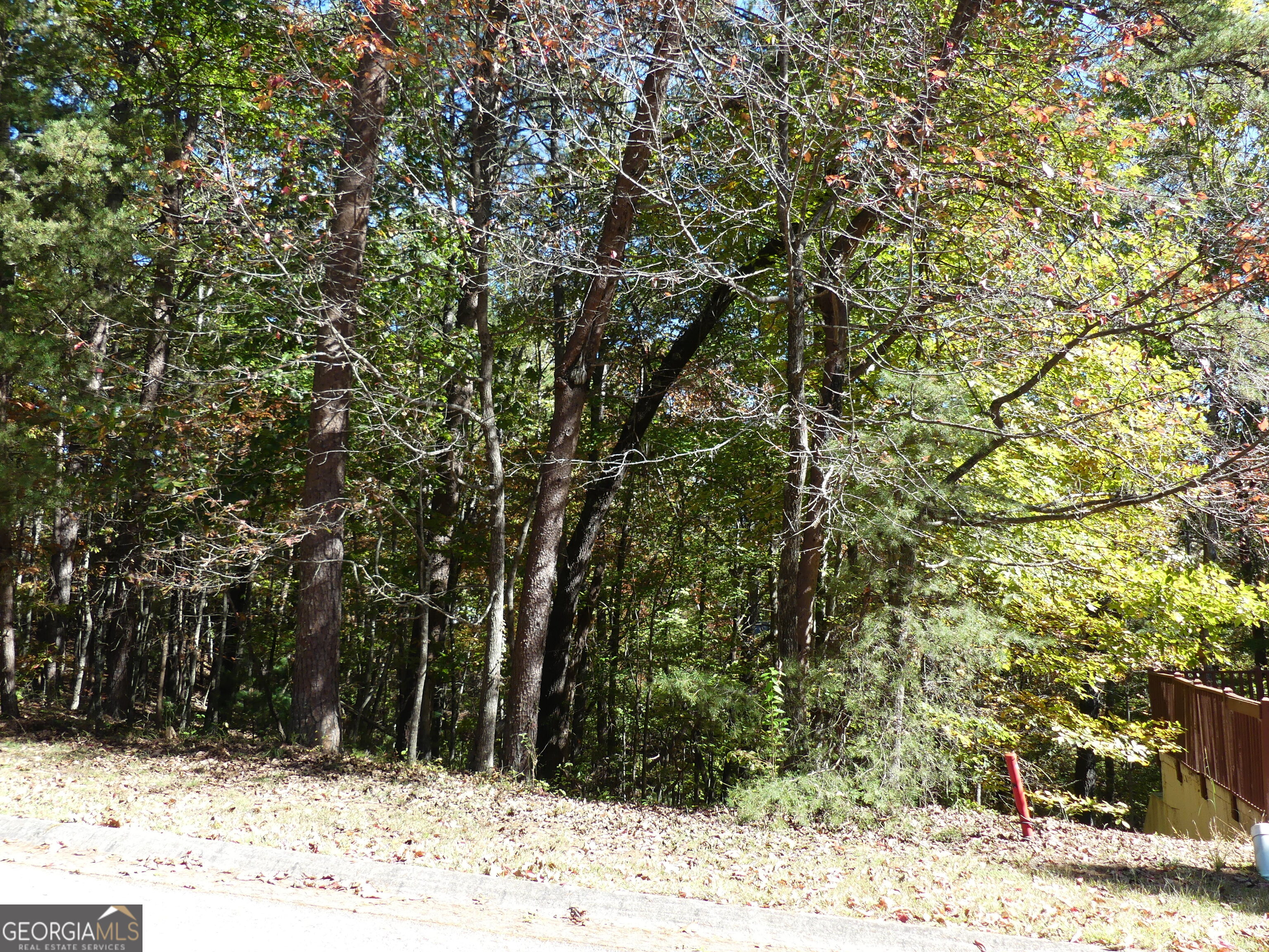 0 Zeppelin Strasse Helen GA 30545