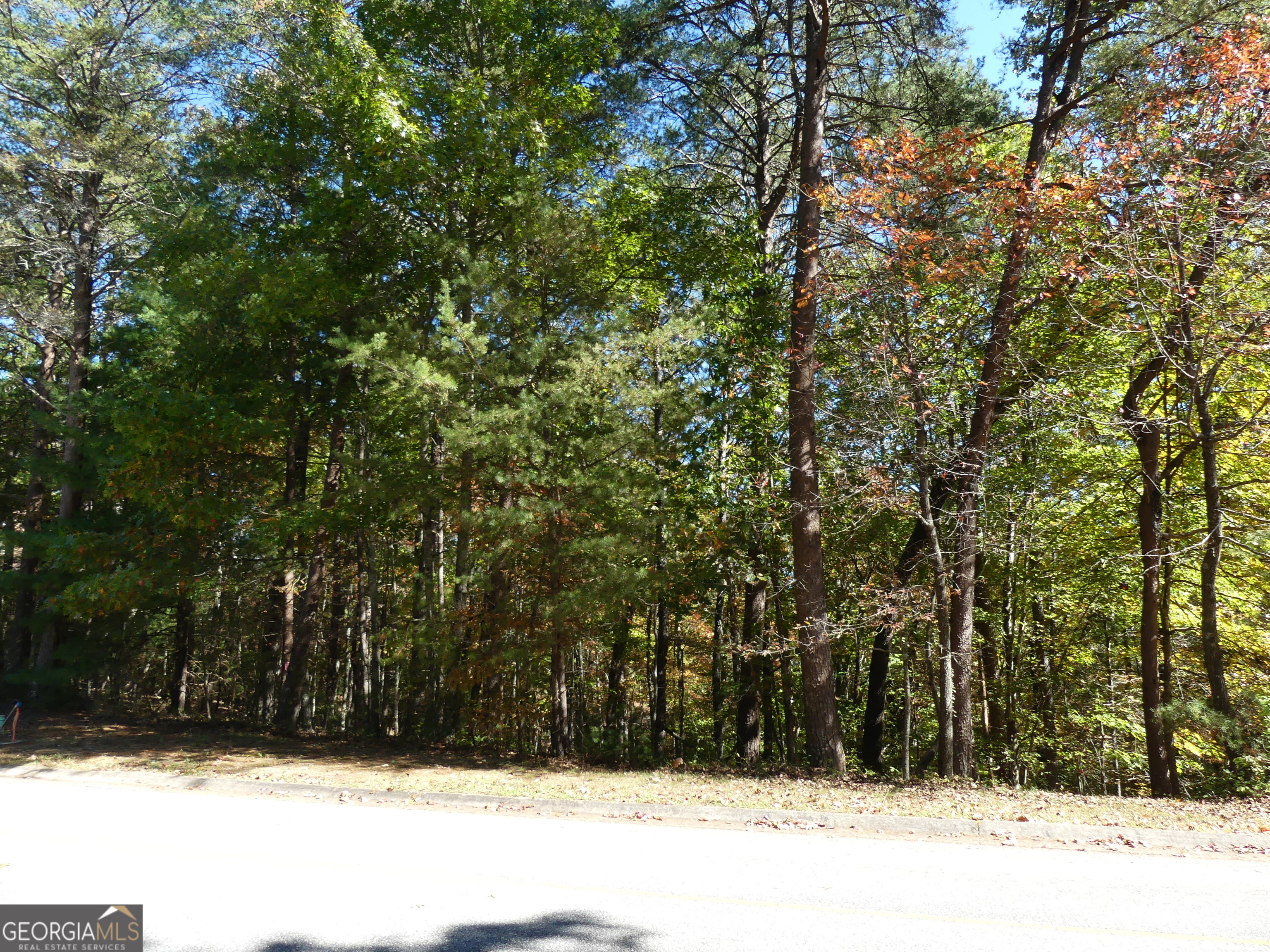 0 Zeppelin Strasse Helen GA 30545
