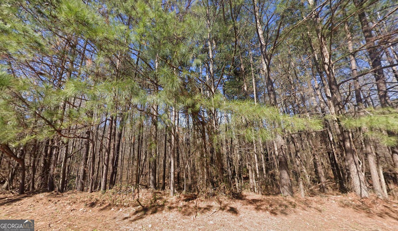 40 Wildcat Creek Drive Covington GA 30016