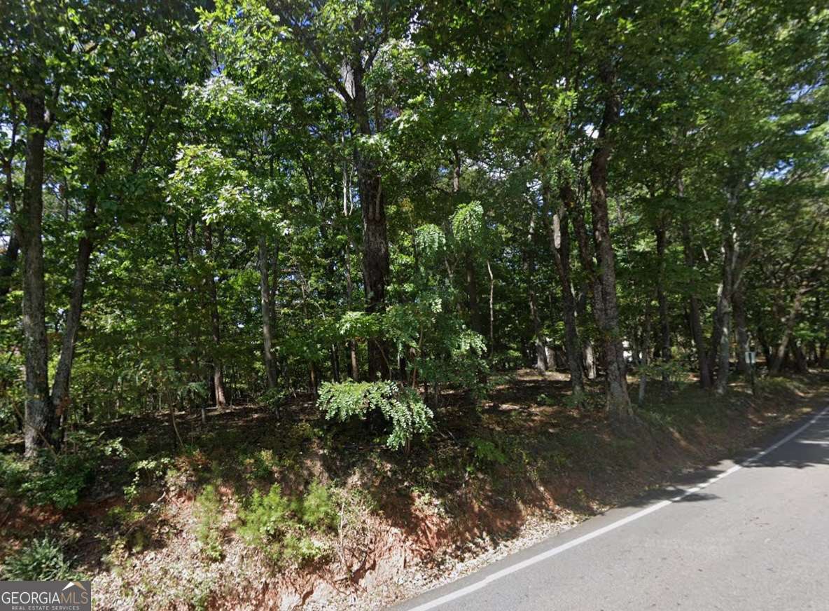 0 Mulligan Way Jasper GA 30143
