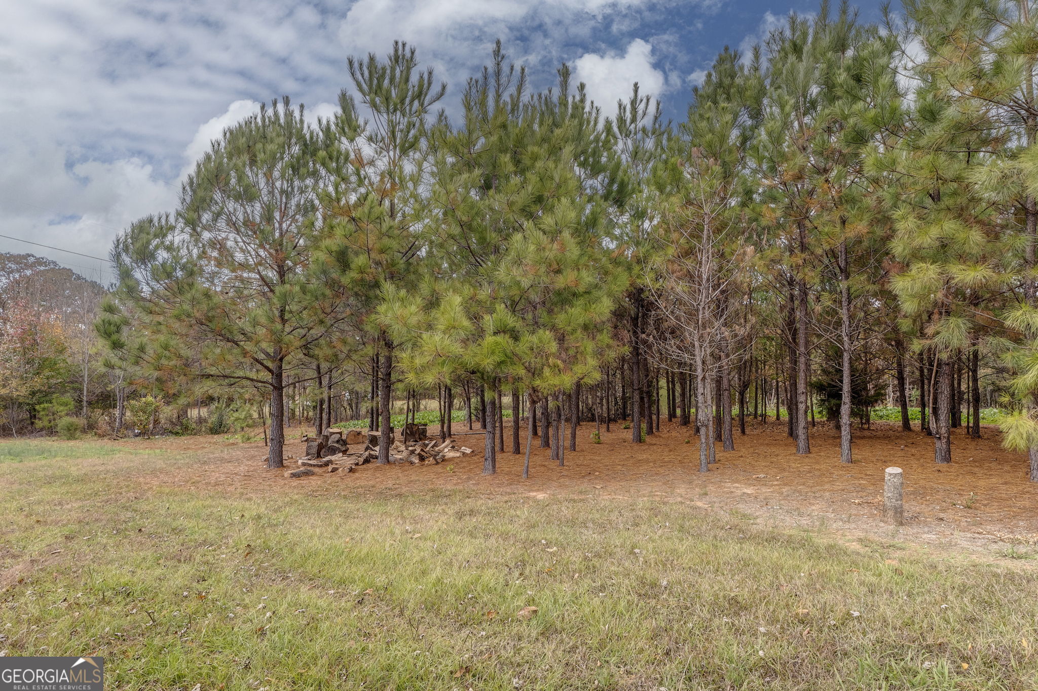 0 Dodson Road Cartersville GA 30120
