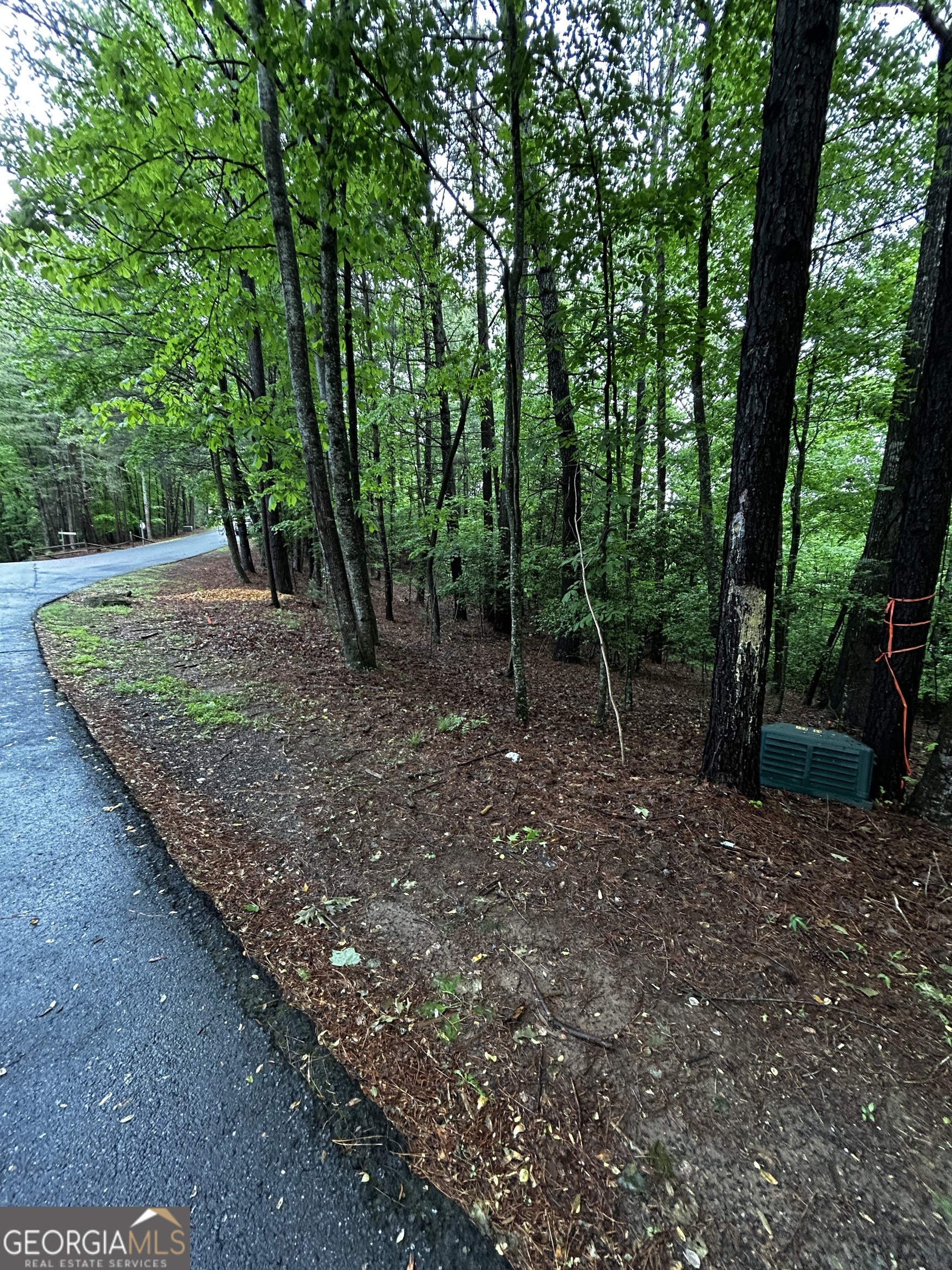 1.08 Acres 00 Lazy River Lane Ellijay GA 30540