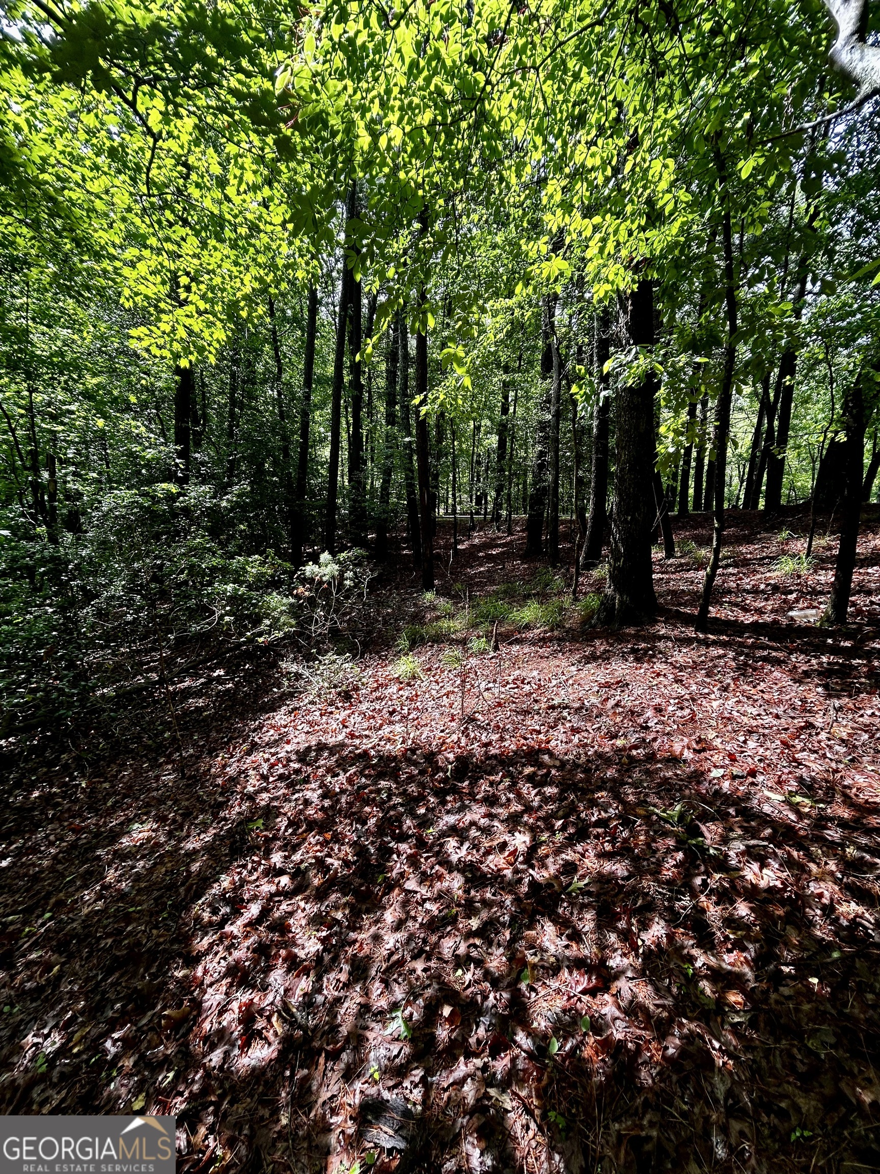 1.08 Acres 00 Lazy River Lane Ellijay GA 30540