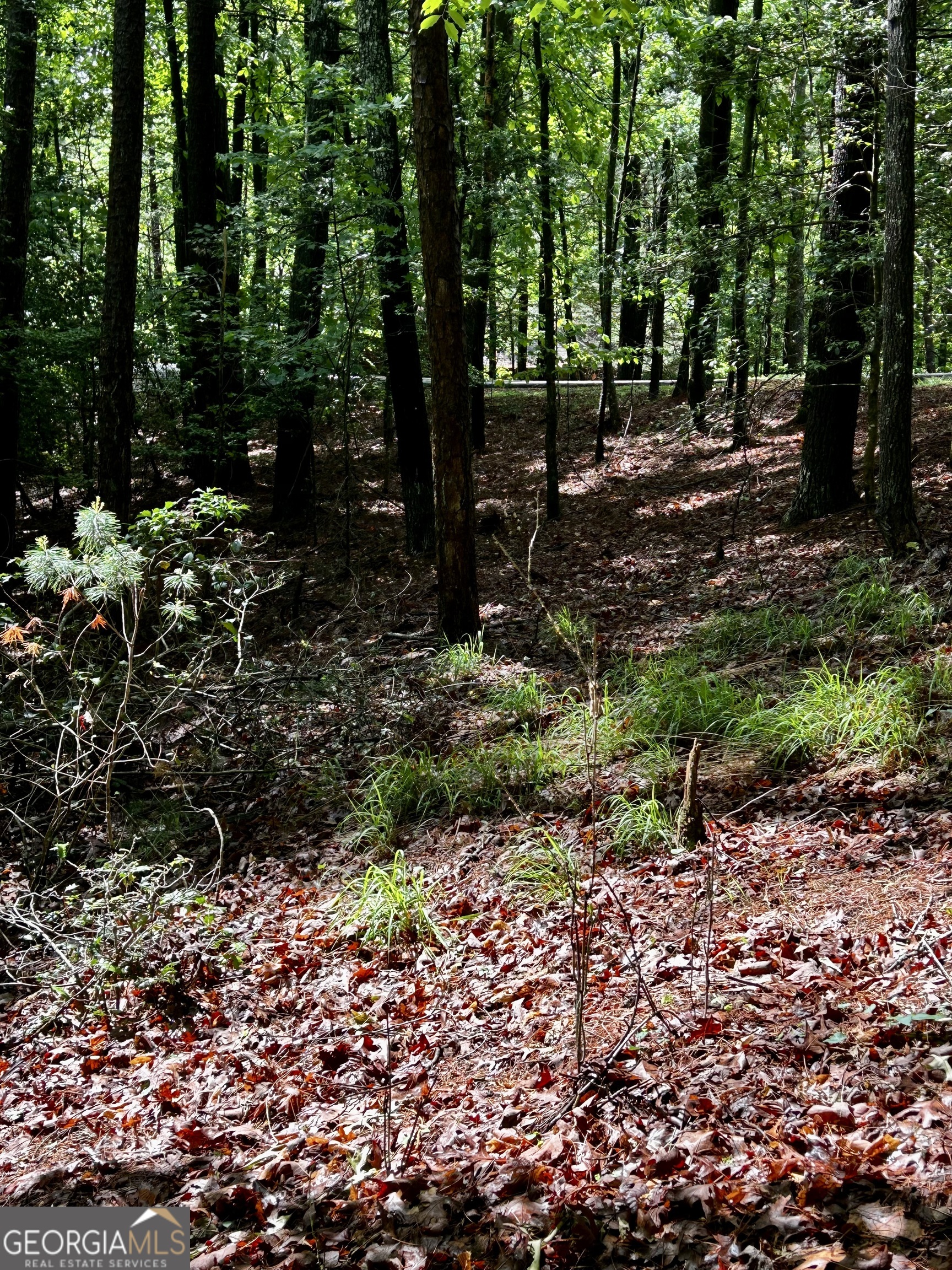 1.08 Acres 00 Lazy River Lane Ellijay GA 30540