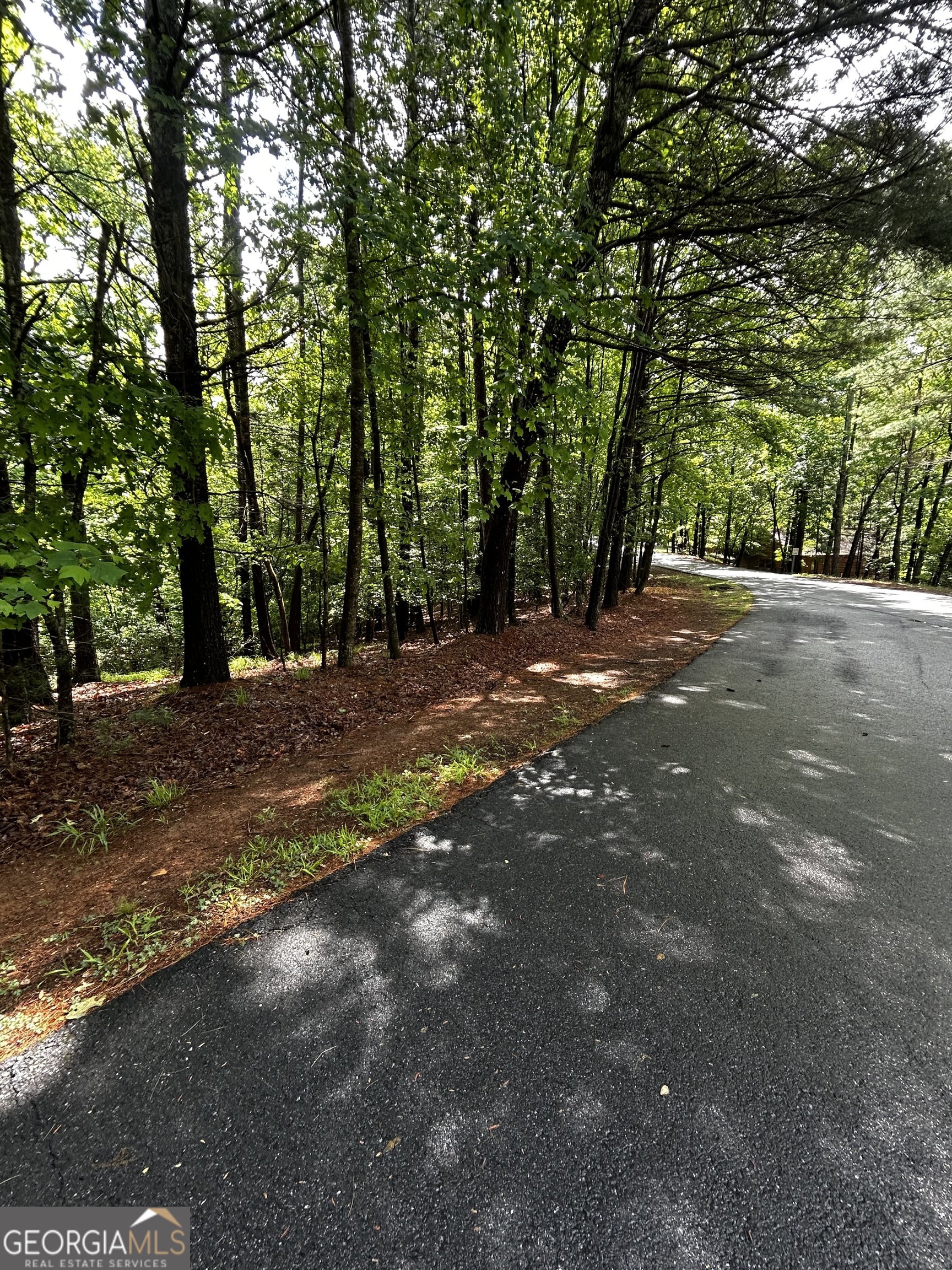 1.08 Acres 00 Lazy River Lane Ellijay GA 30540