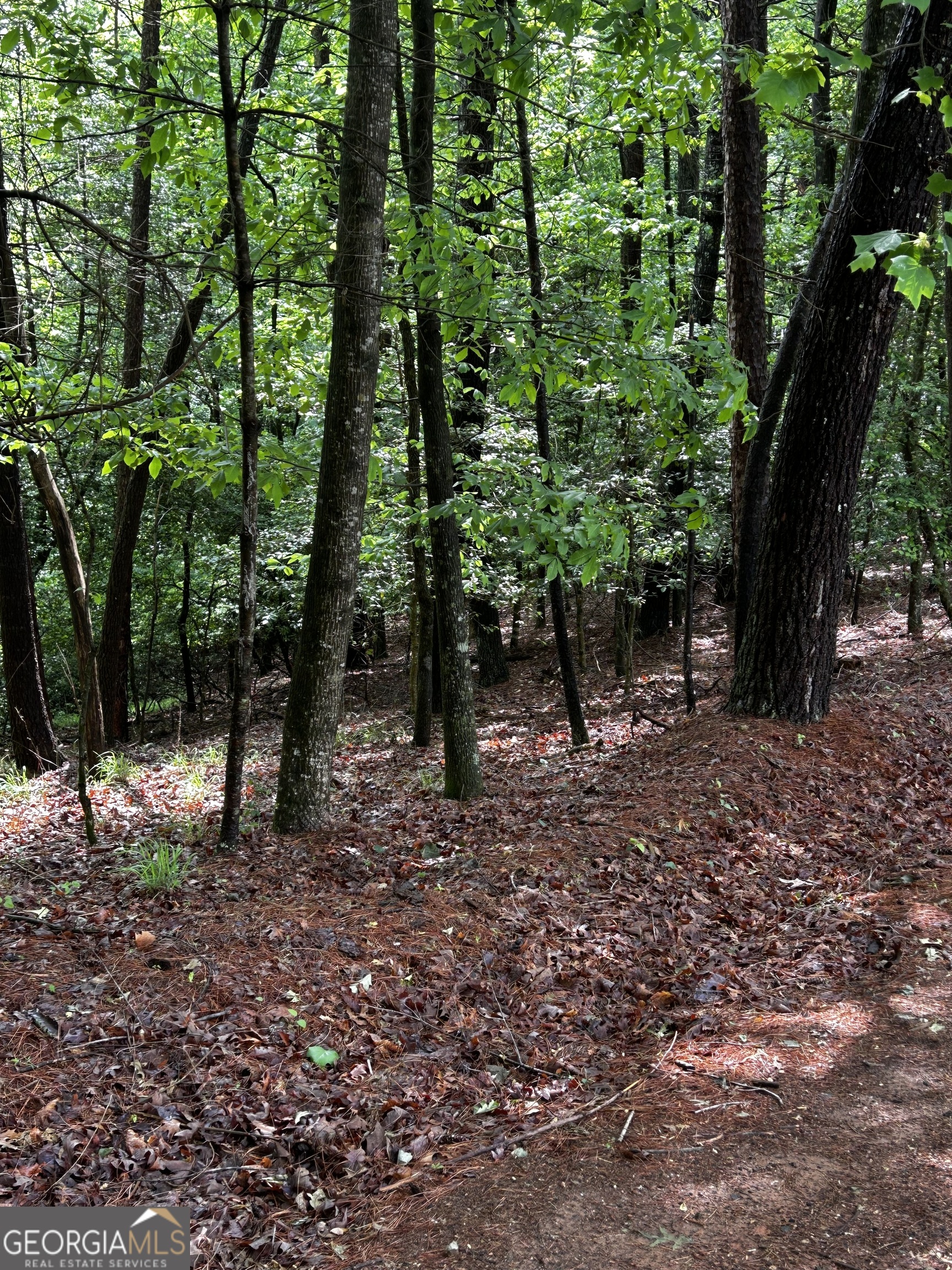 1.08 Acres 00 Lazy River Lane Ellijay GA 30540