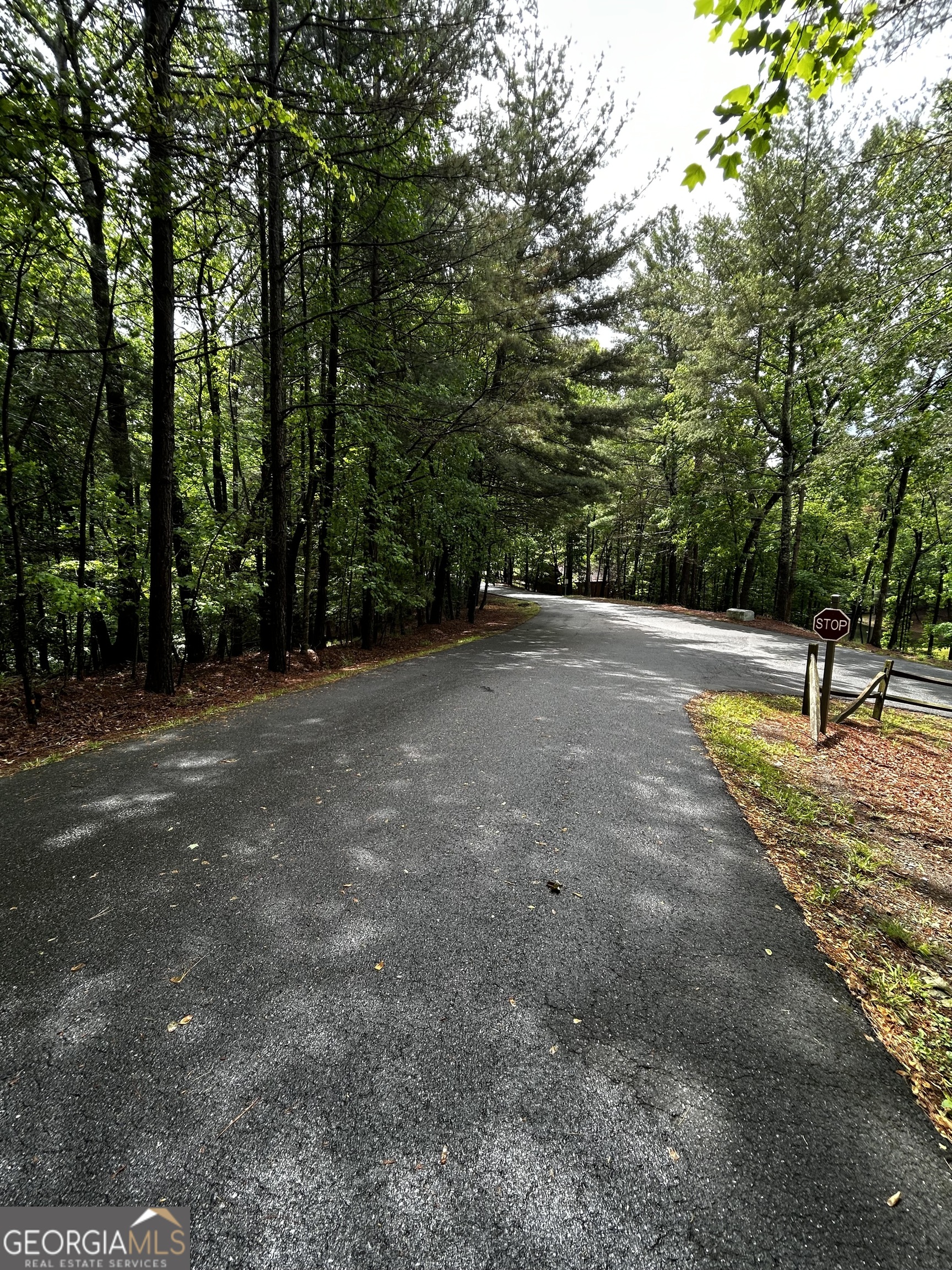 1.08 Acres 00 Lazy River Lane Ellijay GA 30540