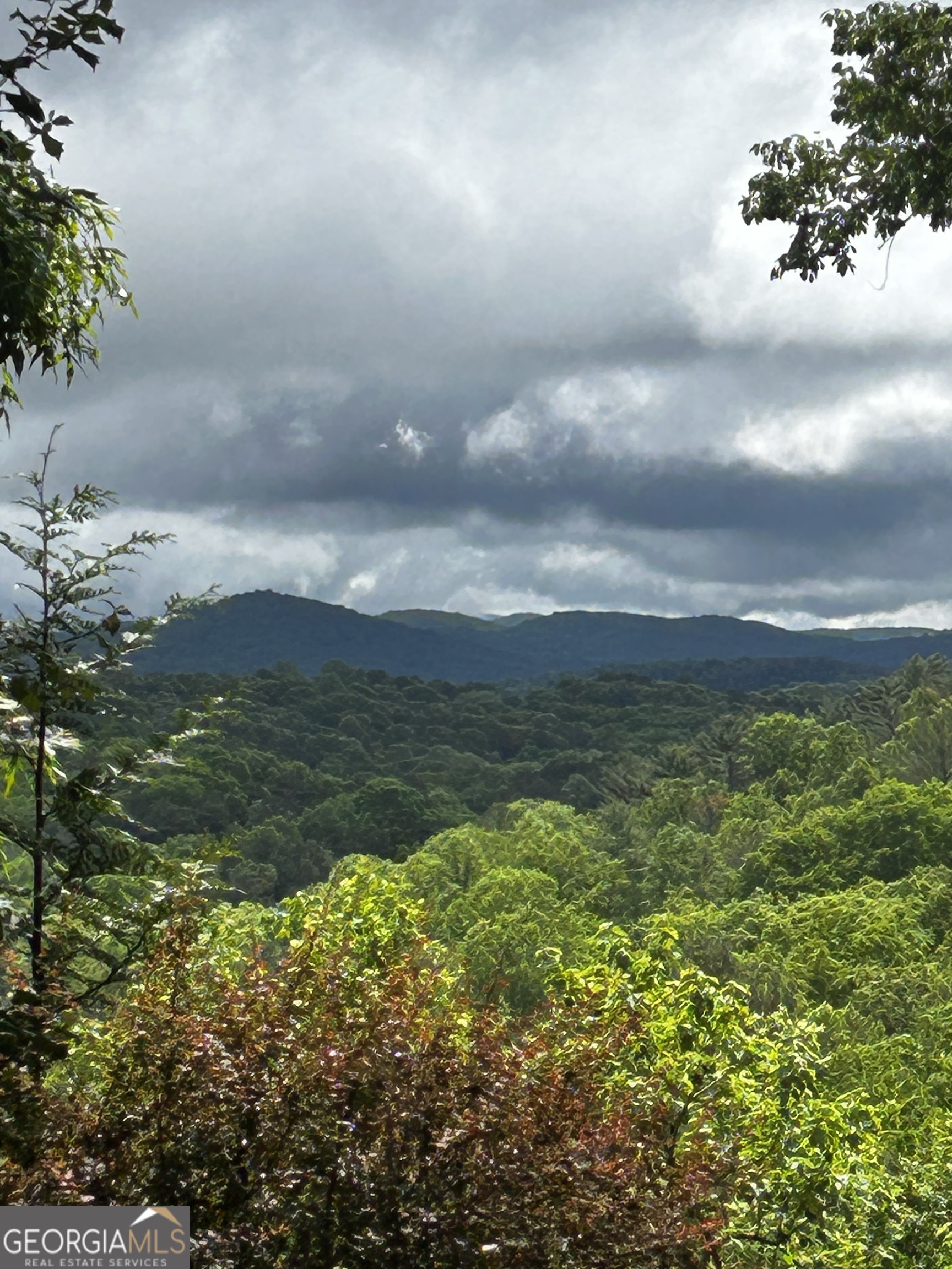 1.08 Acres 00 Lazy River Lane Ellijay GA 30540