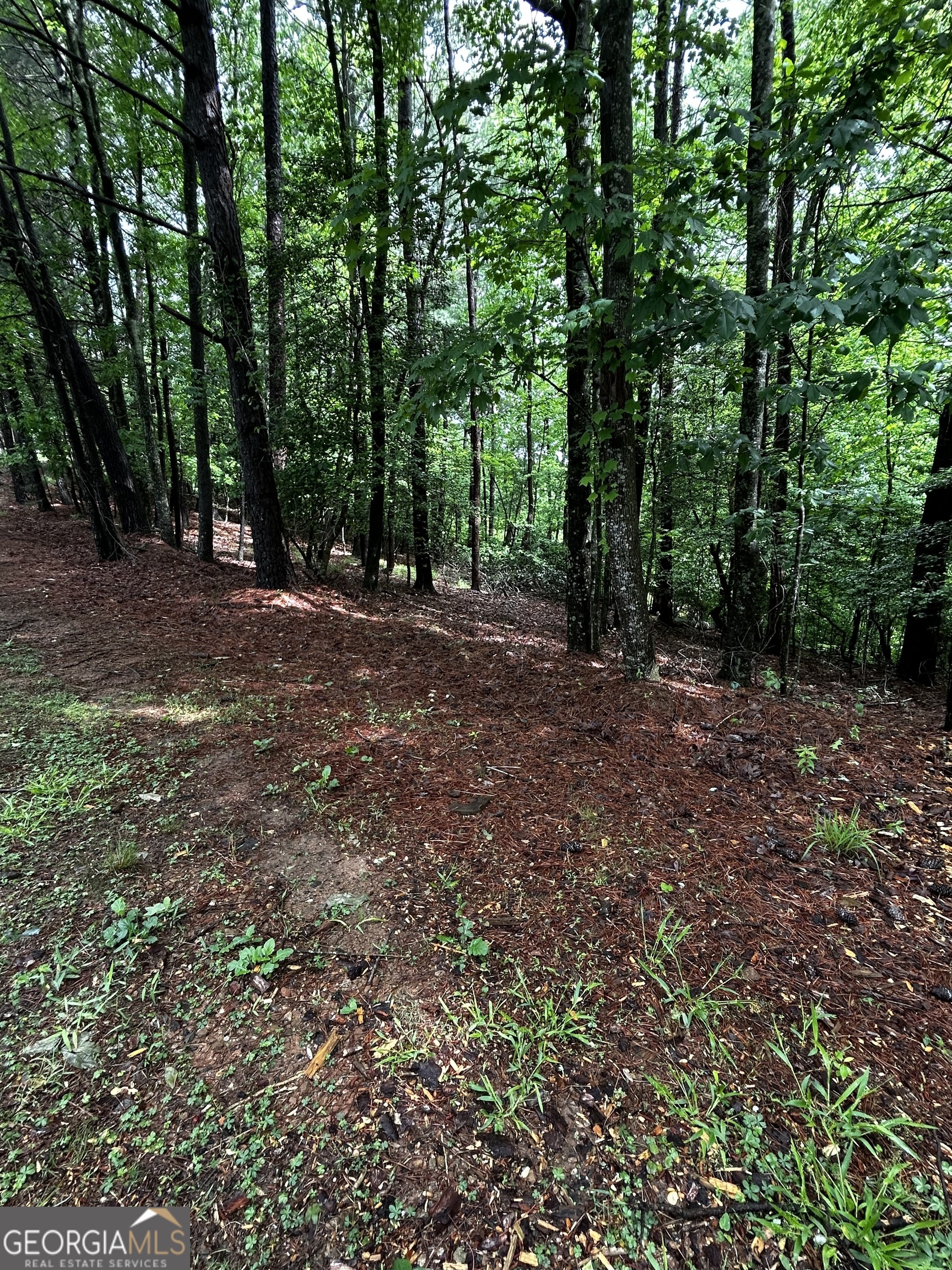 1.08 Acres 00 Lazy River Lane Ellijay GA 30540