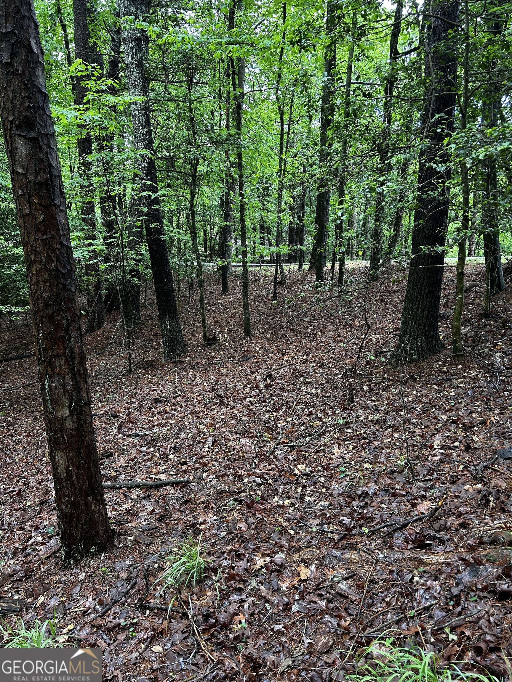 1.08 Acres 00 Lazy River Lane Ellijay GA 30540