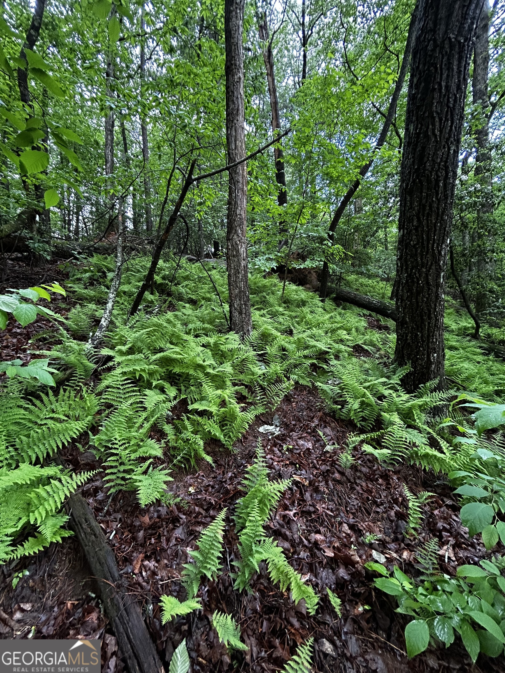 1.08 Acres 00 Lazy River Lane Ellijay GA 30540