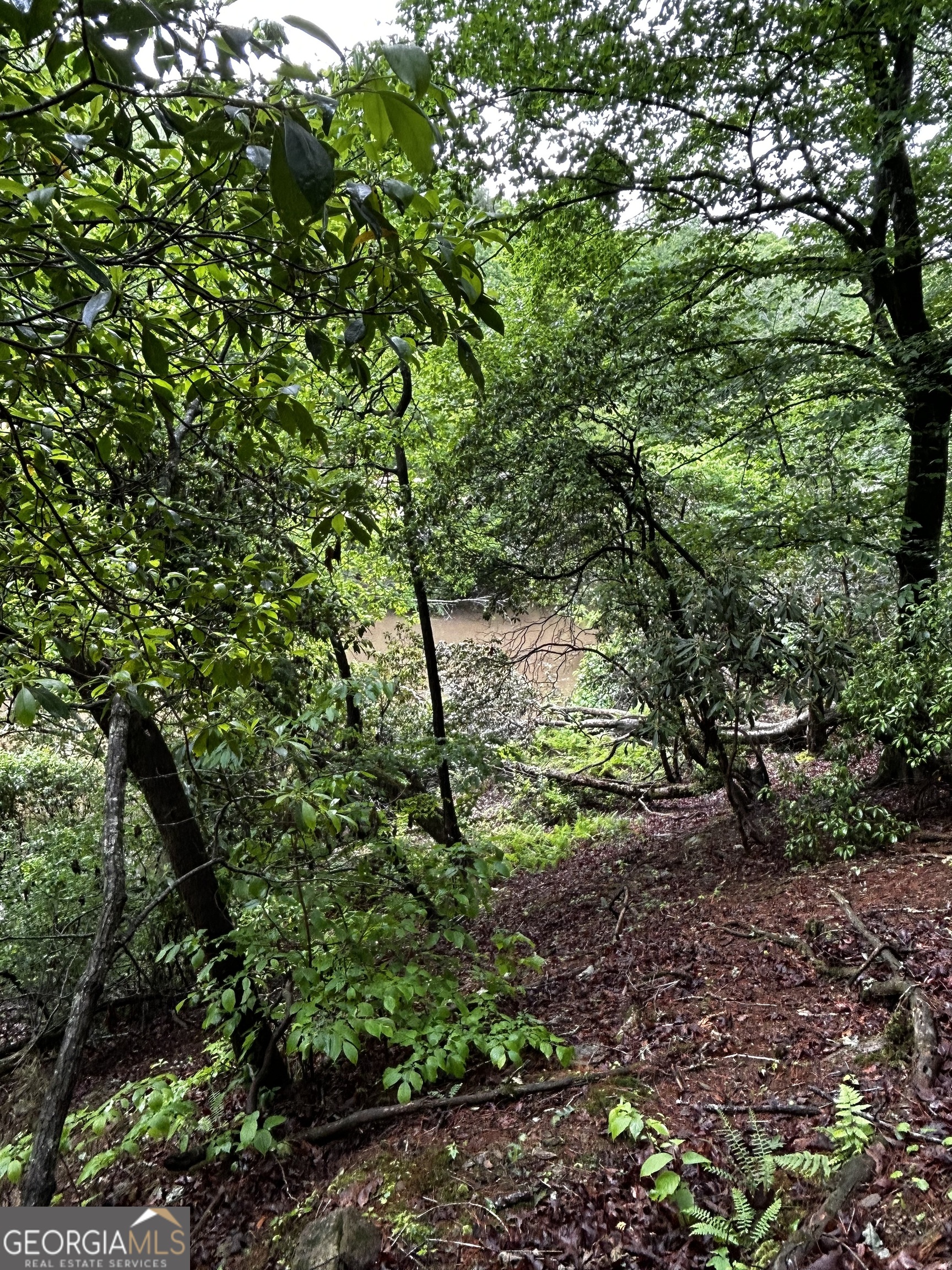 1.08 Acres 00 Lazy River Lane Ellijay GA 30540
