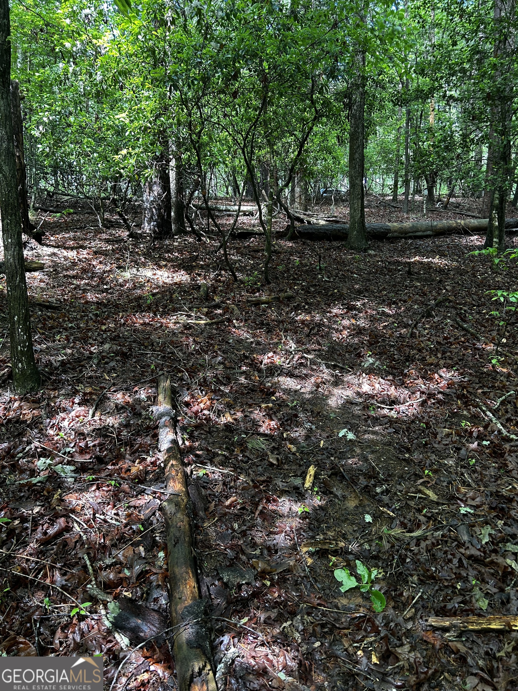 1.08 Acres 00 Lazy River Lane Ellijay GA 30540