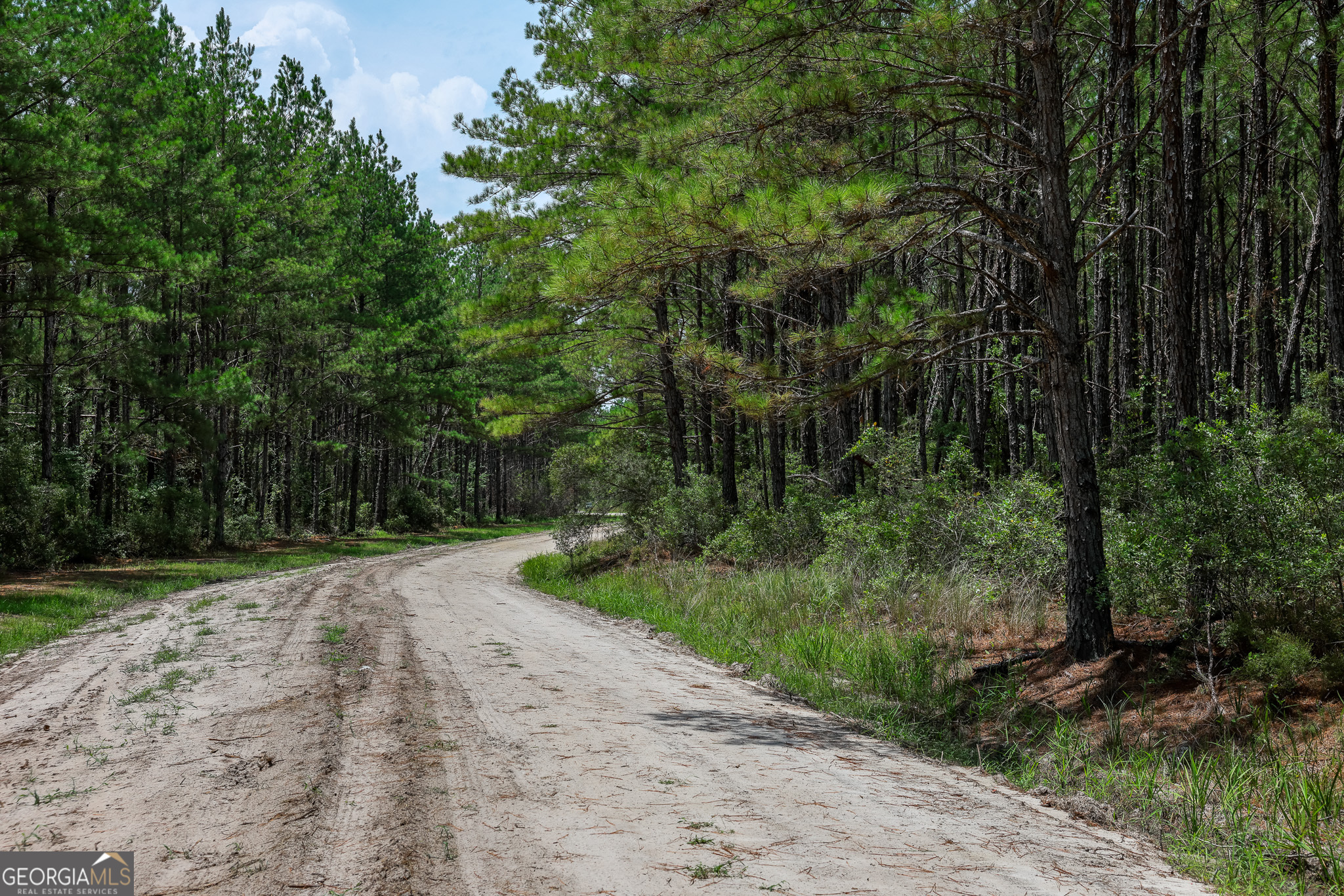 0 Grey Hawk Road Millwood GA 31552