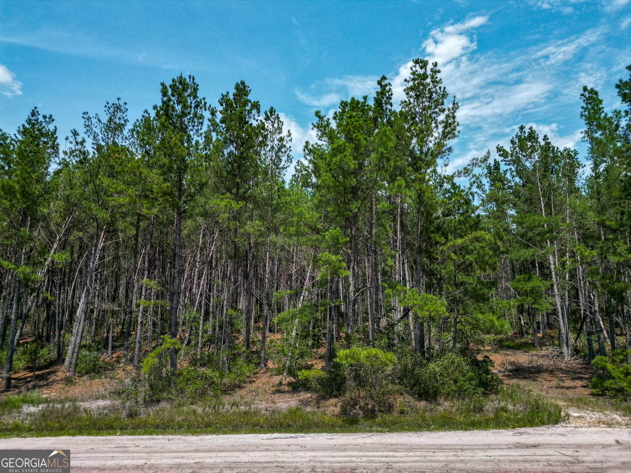 0 Grey Hawk Road Millwood GA 31552