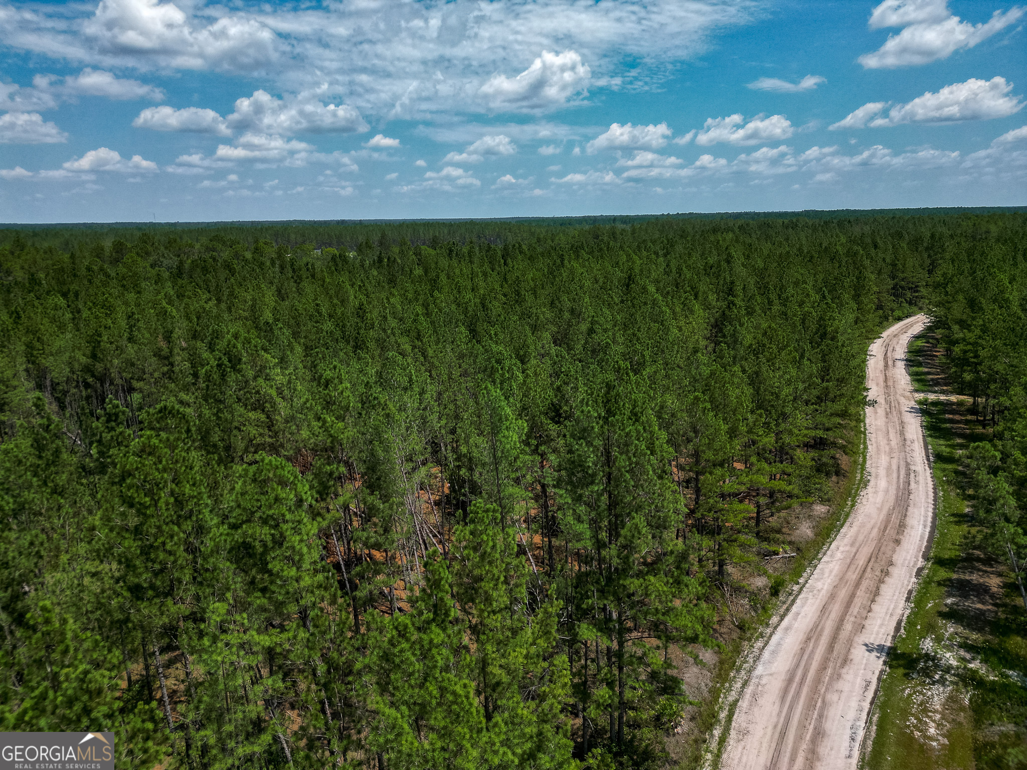 0 Grey Hawk Road Millwood GA 31552