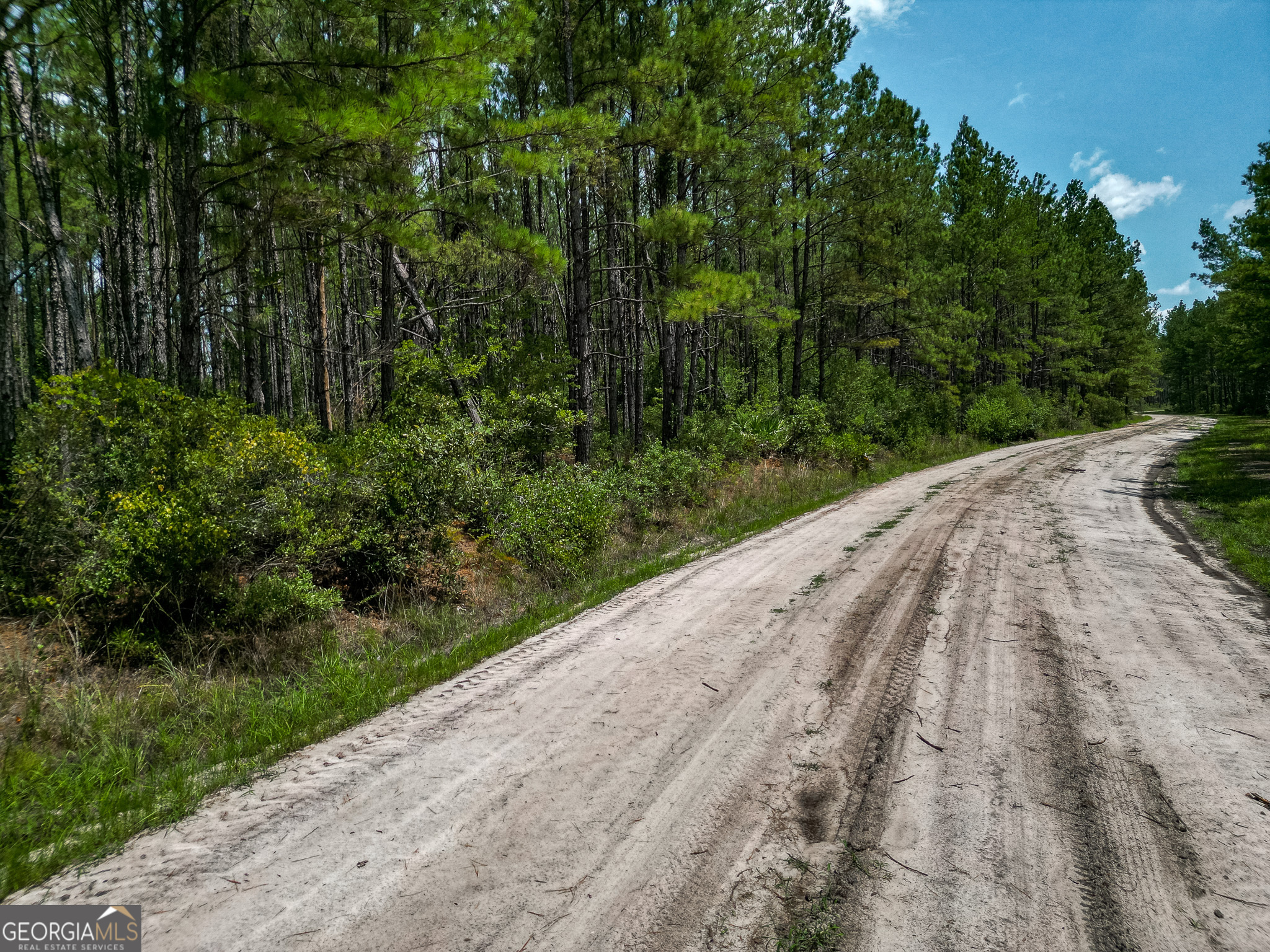 0 Grey Hawk Road Millwood GA 31552
