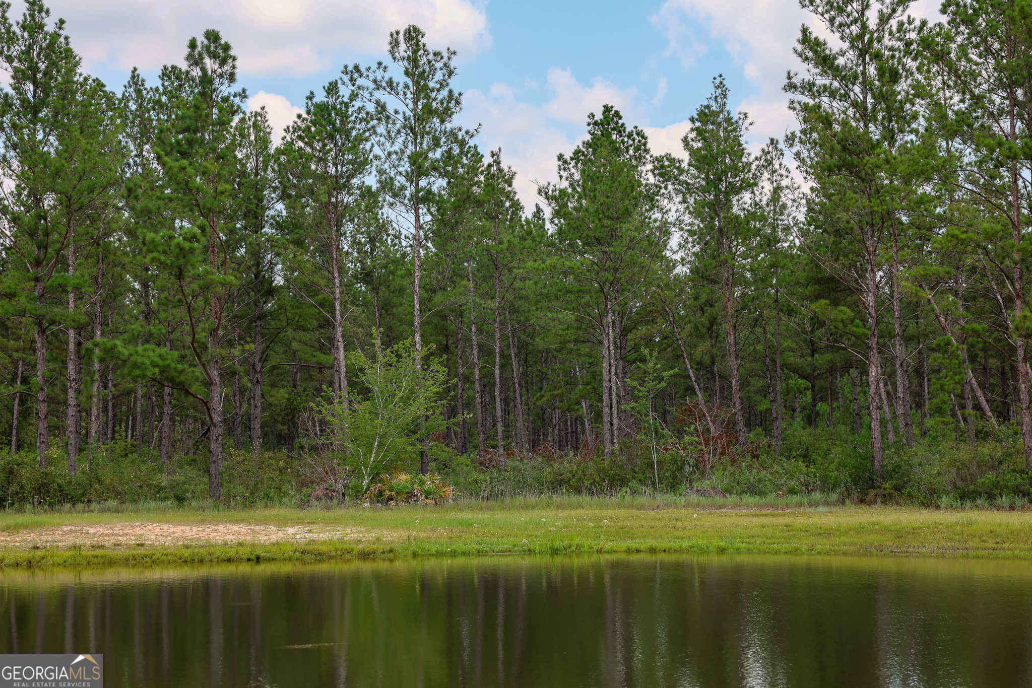 0 Grey Hawk Road Millwood GA 31552