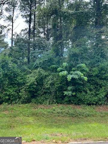 0 N Spring Creek Circle Cobb GA 31735