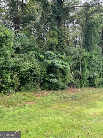 0 N Spring Creek Circle Cobb GA 31735