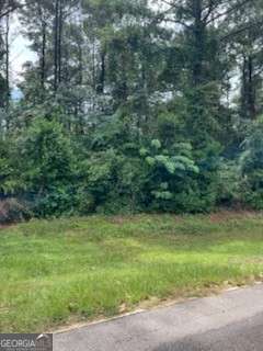 0 N Spring Creek Circle Cobb GA 31735