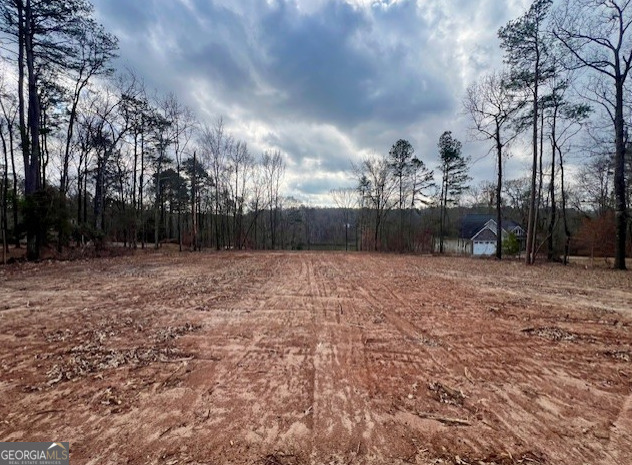 1057 Plantation Drive Sandersville GA 31082