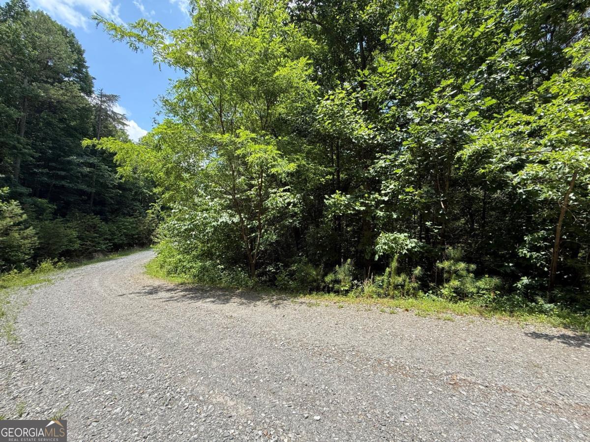 Lot E9 Reece Mountain Road Ellijay GA 30536