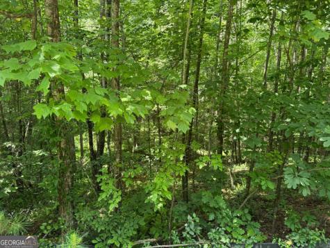 Lot E9 Reece Mountain Road Ellijay GA 30536