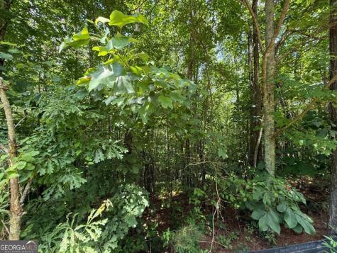 Lot E9 Reece Mountain Road Ellijay GA 30536